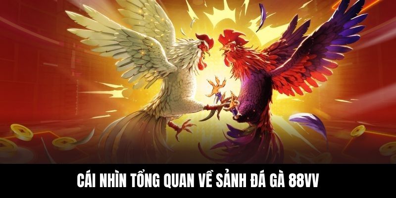 Giới thiệu sơ lược về sảnh đá gà 88VV