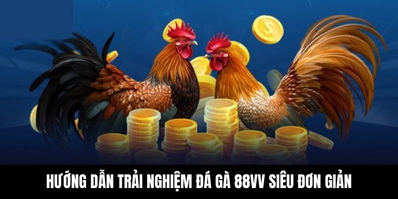 Cách tham gia trải nghiệm siêu dễ tại sảnh đá gà 88VV