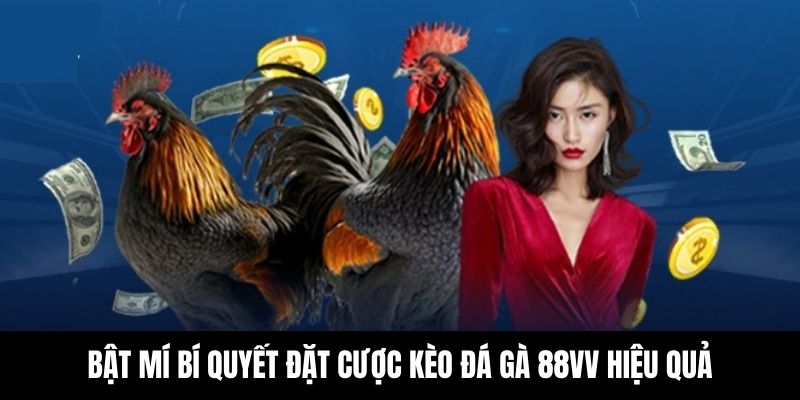 Chia sẻ những chiến thuật đầu tư đá gà 88VV hiệu quả